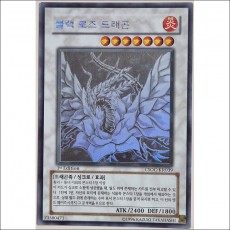 블랙로즈드래곤(CSOC-KR039) A급 1st Edition