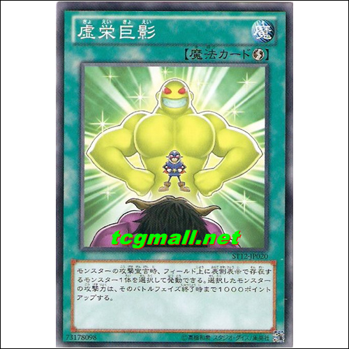 허영거영(ST12-JP020)