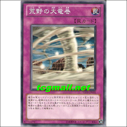 황야의회오리바람(YSD5-JP031)