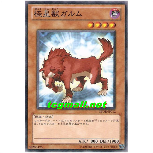 극성수가름(STOR-JP012)