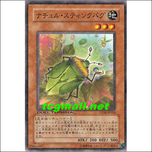나츄르스틴버그(DT08-JP028)