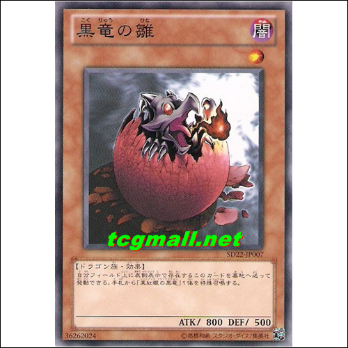 아기흑룡(SD22-JP007)