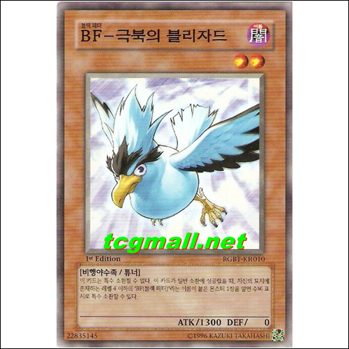 BF-극북의블리자드(RGBT-KR010)