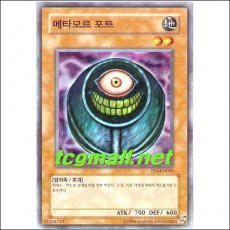 메타모르포트(TP4-KR002)A+급