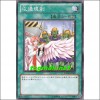 공통규제(PHSW-JP045)
