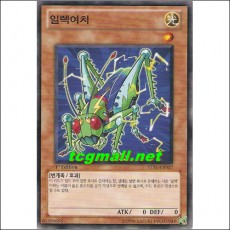 일렉여치(STBL-KR027)