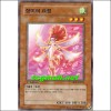 장미의요정(ABPF-KR013)