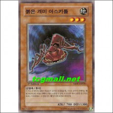 붉은개미아스카톨(ABPF-KR020)