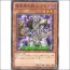 암흑계의사냥꾼브라우(SD21-JP007)