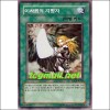 이차원의지명자(IOC-KR039)