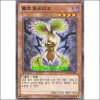 벨즈만드라고(DS13-KRD06)