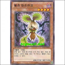 벨즈만드라고(DS13-KRD06)