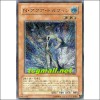 N아쿠아돌핀(POTD-JP003)