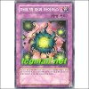 마의덱파괴바이러스(FET-KR058)