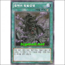 침략의범발감염(DS13-KRD23)