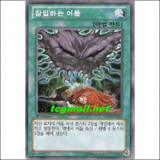 잠입하는어둠(DS13-KRD24)
