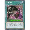 소환체인(DS13-KRD28)
