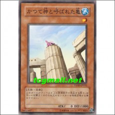 신이라불린거북이(TSHD-JP032)