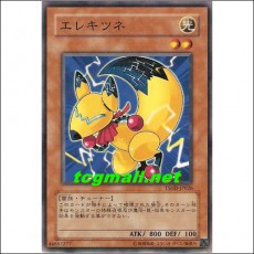 일레키츠네(TSHD-JP026)