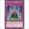 아마조네스의전생술(EXP4-JP019)