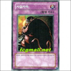 자업자득(SKE-KR043)A급