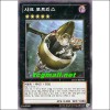 샤크포트리스(LTGY-KR048)