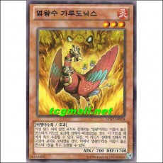 염왕수가루도닉스(LTGY-KR034)