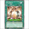 익스체인지(DP00-KR022)