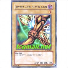 봉인된자의오른쪽다리(LOB-K120)