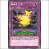 예속의인분(GAOV-KR070)