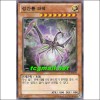 성간룡파섹(LTGY-KR015)