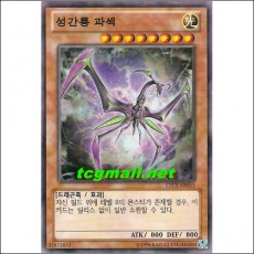성간룡파섹(LTGY-KR015)