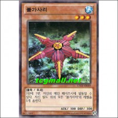 불가사리(LTGY-KR009)