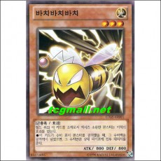 바치바치바치(LTGY-KR001)