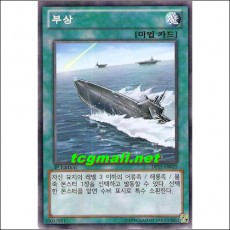 부상(DP15-KR025)