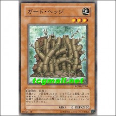 가드헤지(RGBT-JP008)