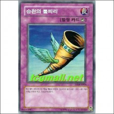 승천의뿔피리(TP3-KR005)A급
