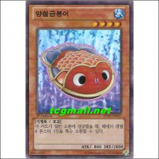 양철금붕어(HA07-KR037)