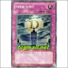 이터널드레드(DP05-KR030)