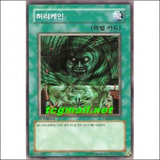 허리케인(YSD4-KR023)