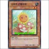 나츄르선플라워(HA03-KR011)