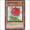 나츄르트라이엄프(HA03-KR013)