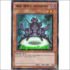 레알제넥스코디네이터(HA03-KR015)
