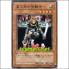 이차원의여전사(SD5-JP011)