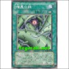 증오의가시나무(RGBT-JP047)