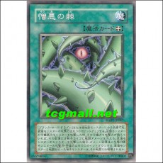 증오의가시나무(RGBT-JP047)