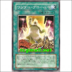 원더클로버(RGBT-JP049)