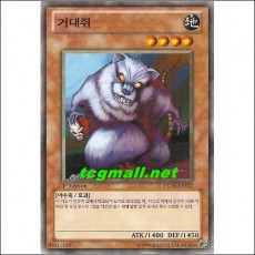 거대쥐(YSD6-KR012)