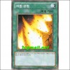 파동공명(YSD6-KR022)