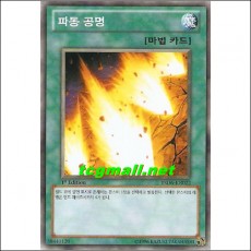 파동공명(YSD6-KR022)